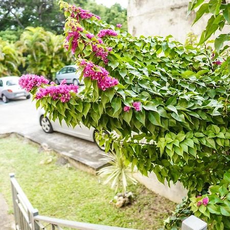 Color Garden - Studio Martinique Сент-Анн Екстер'єр фото