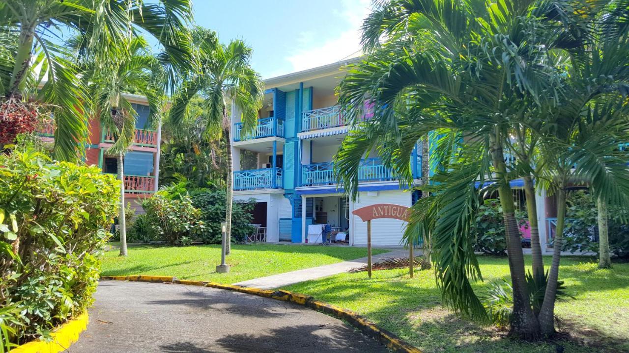 Color Garden - Studio Martinique Сент-Анн Екстер'єр фото