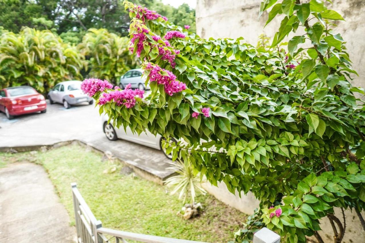 Color Garden - Studio Martinique Сент-Анн Екстер'єр фото