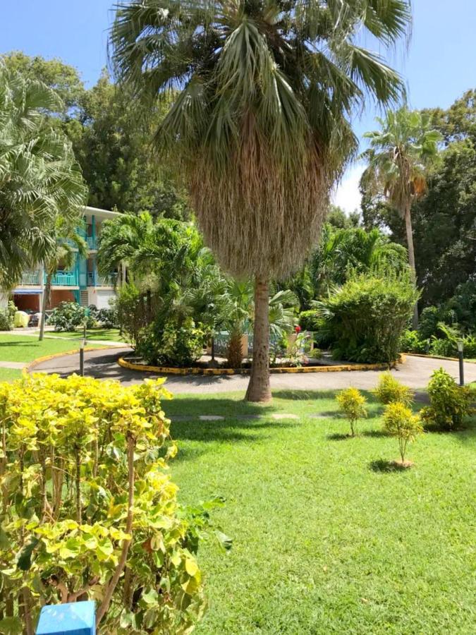 Color Garden - Studio Martinique Сент-Анн Екстер'єр фото