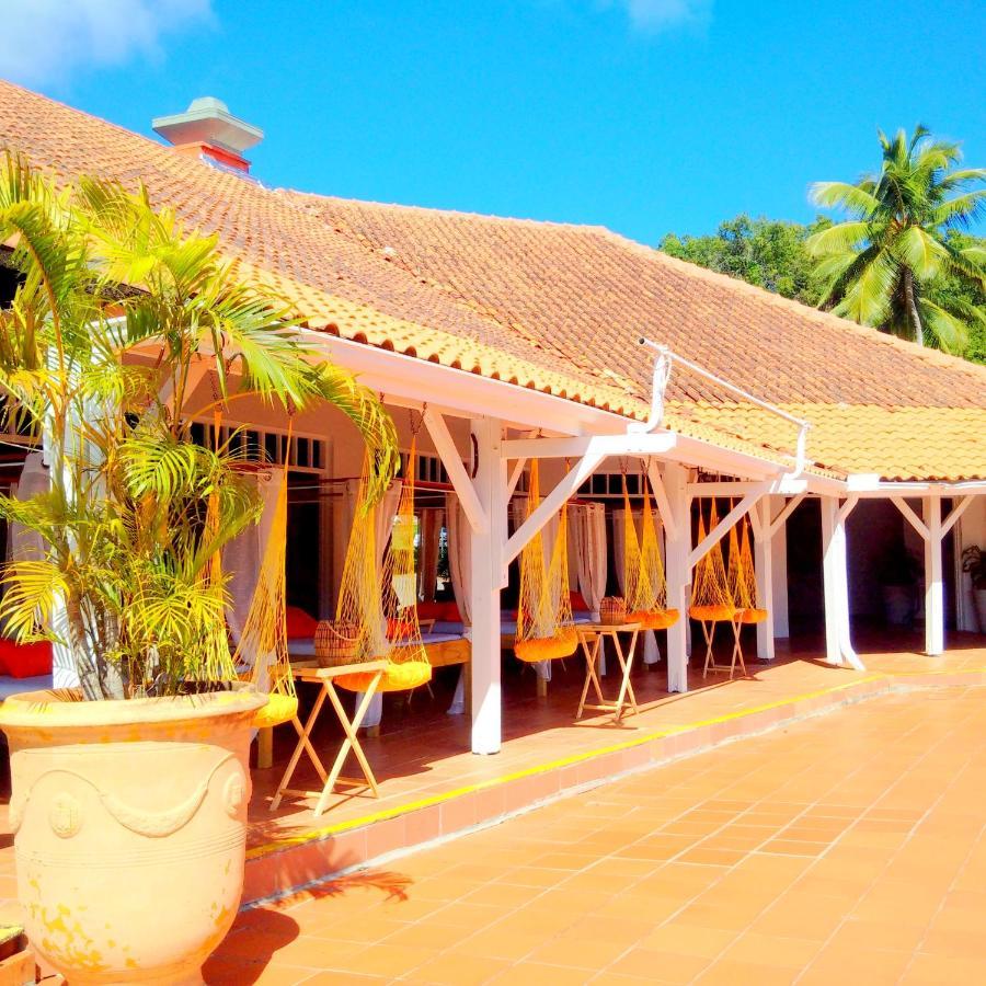 Color Garden - Studio Martinique Сент-Анн Екстер'єр фото
