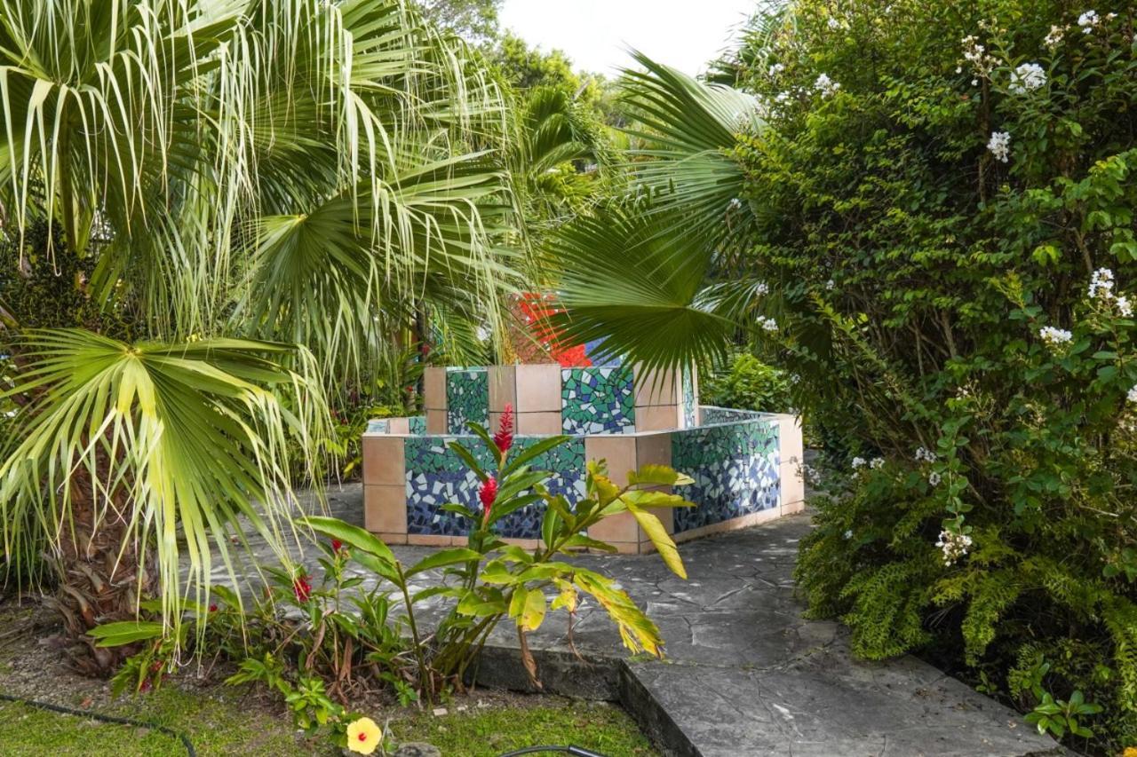 Color Garden - Studio Martinique Сент-Анн Екстер'єр фото